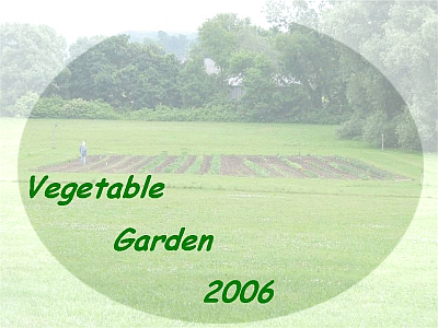 Vegetable Garden 2006